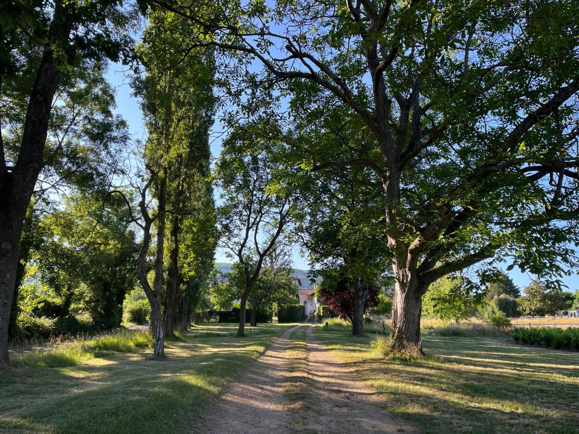 Вилла Domaine De La Baisse Saint-Etienne-la-Varenne Экстерьер фото