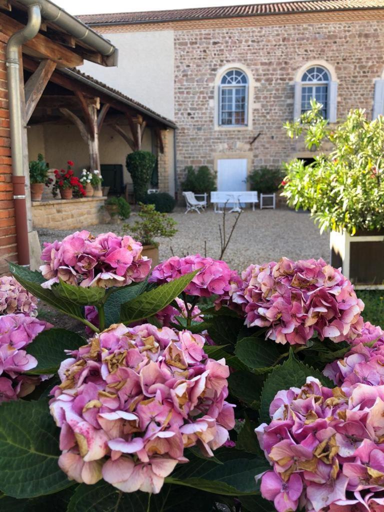 Вилла Domaine De La Baisse Saint-Etienne-la-Varenne Экстерьер фото